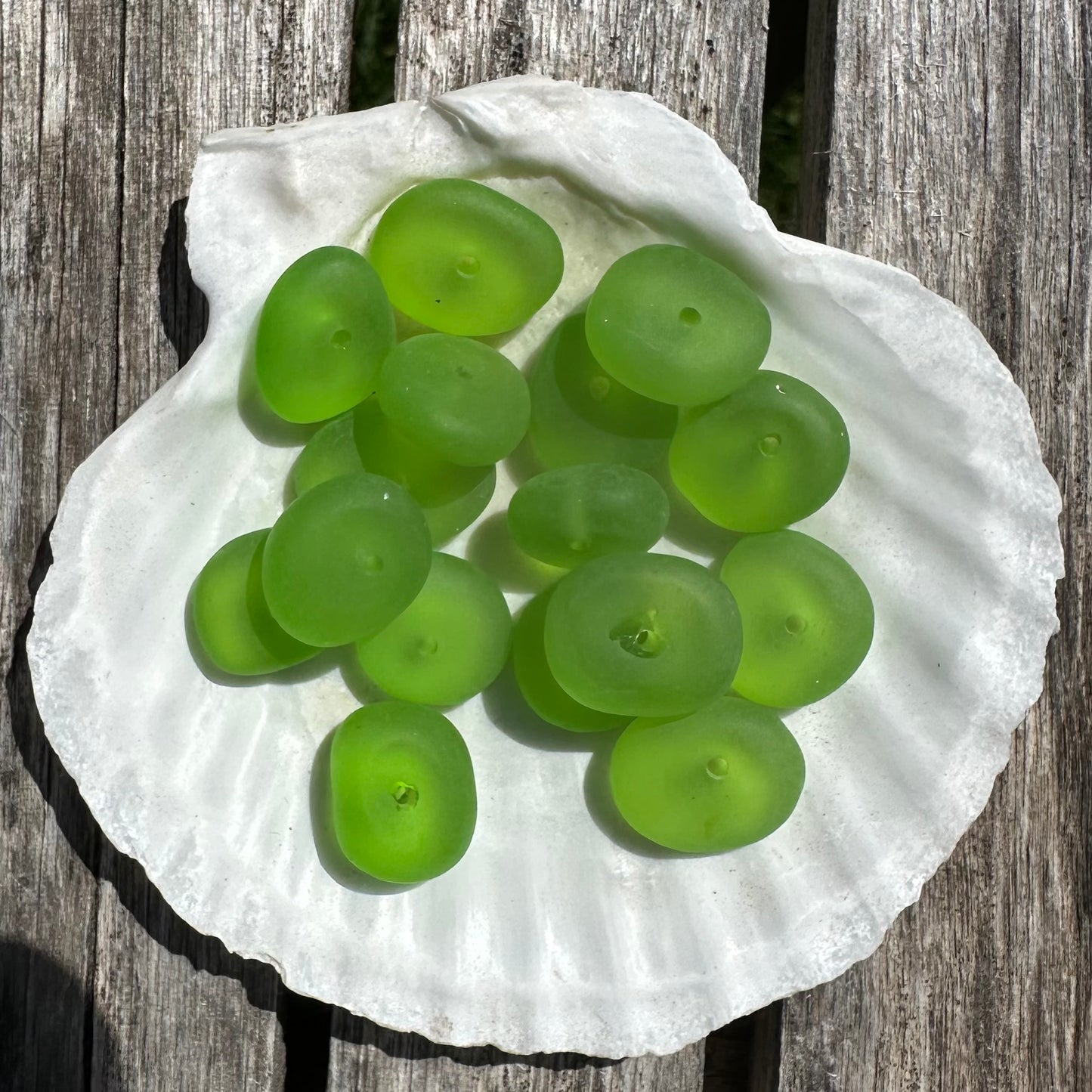 Sea Glass Pebbles- Bottle Green
