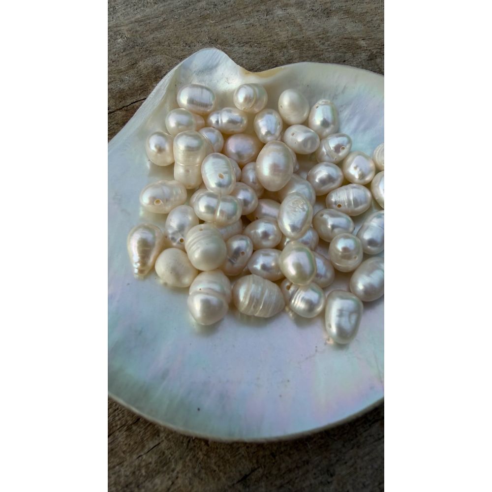 Freshwater Pearls - Cream