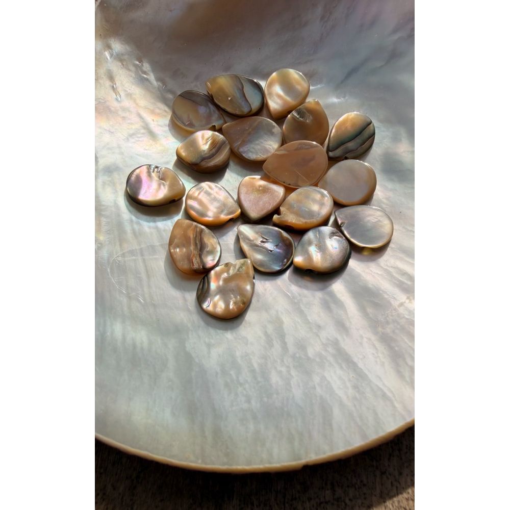 Shell Drops