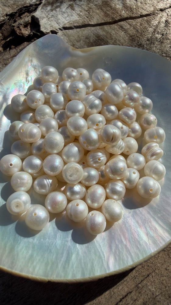 Freshwater Pearls - Buttercream