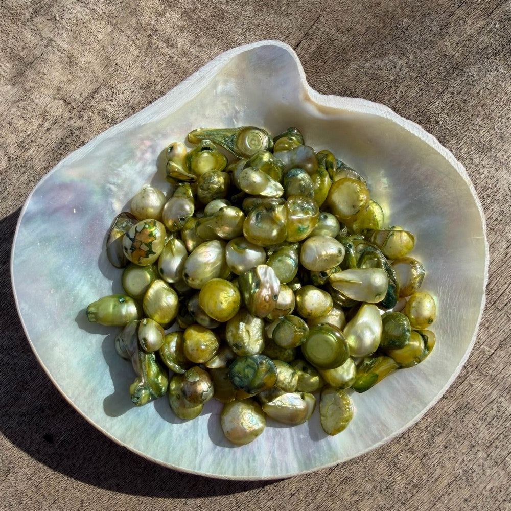 Freshwater Pearls - Fiddlehead Baroque