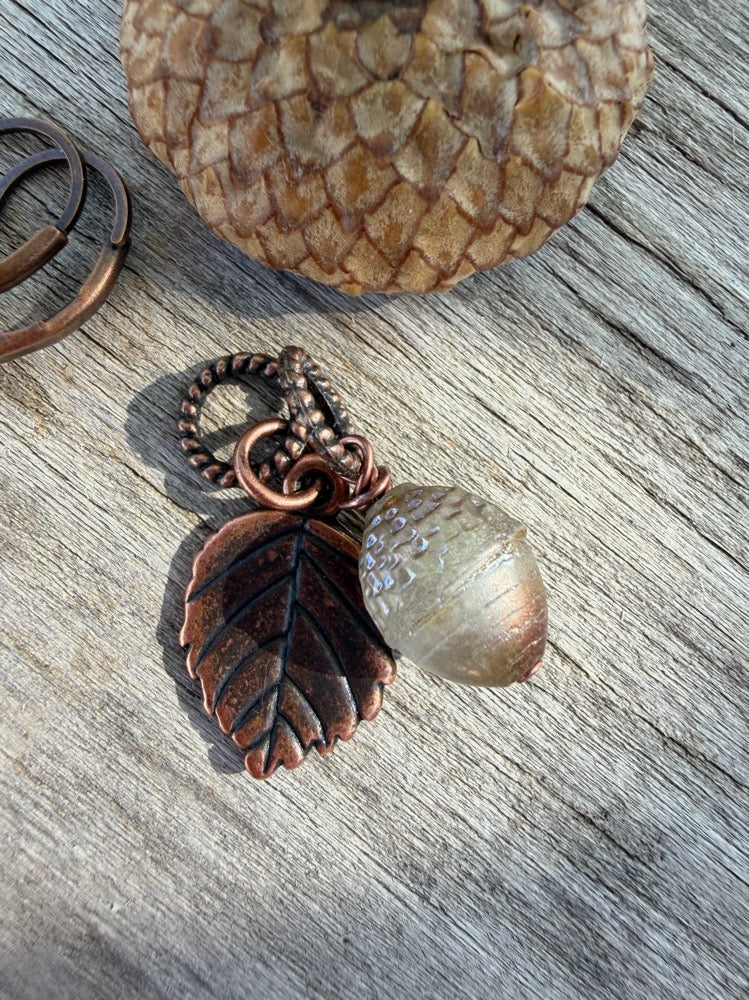 Acorn Duo