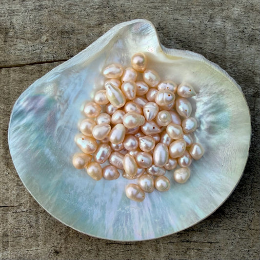 Freshwater Pearls - Caramel Cream