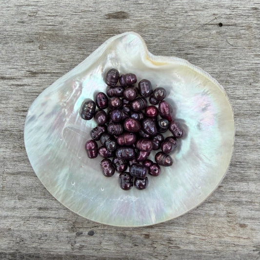 Freshwater Pearls - Dark Berry
