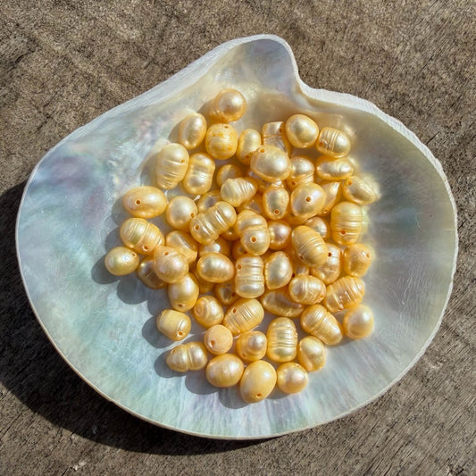 Freshwater Pearls - Jonquil