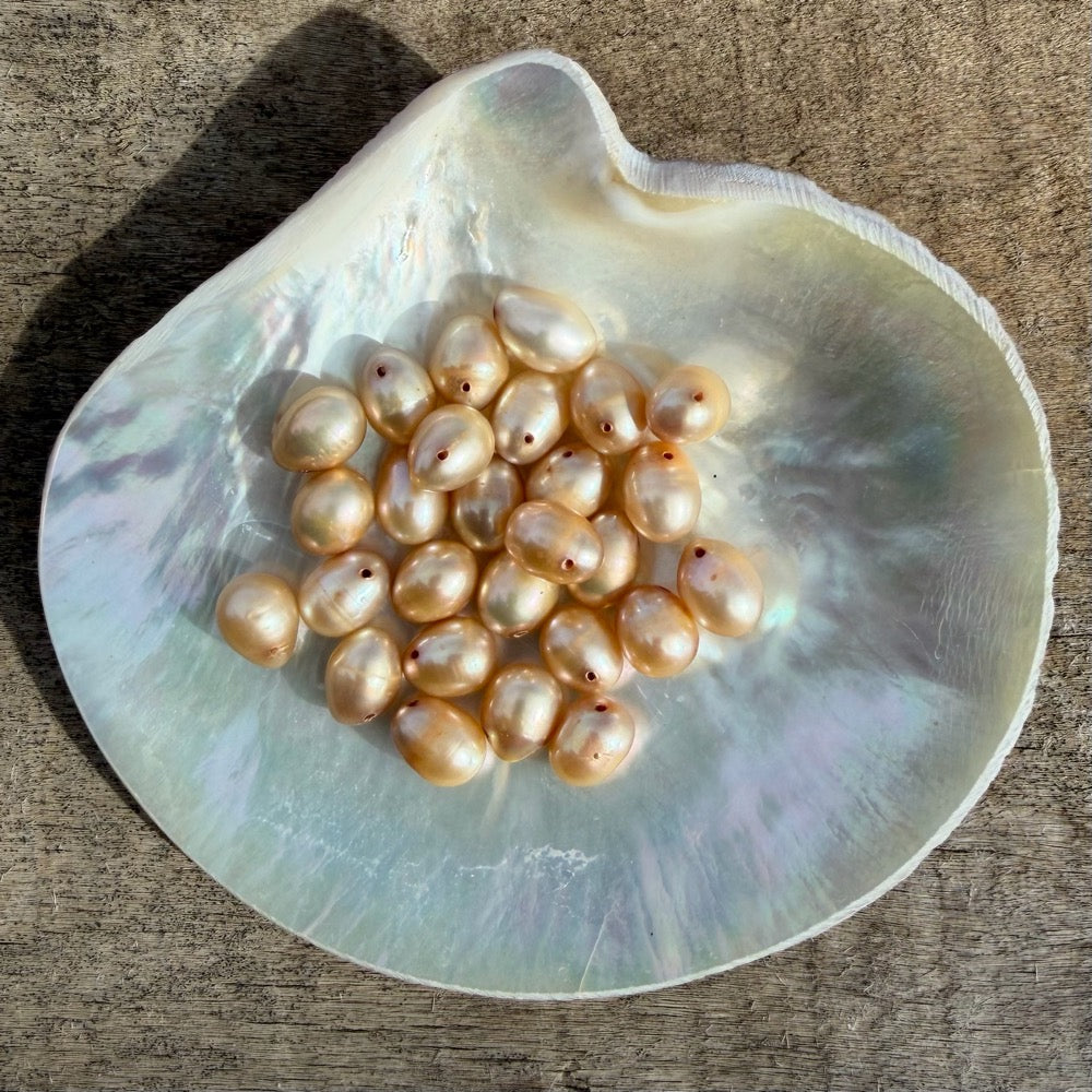 Freshwater Pearls - Champagne