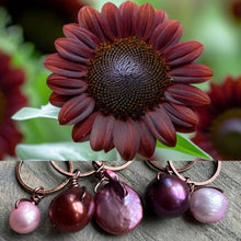 Load image into Gallery viewer, Chocolate Cherry Sunflower Mix
