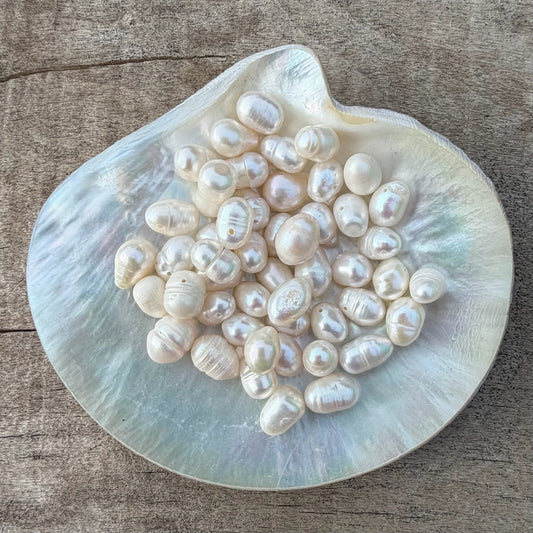 Freshwater Pearls - Cream