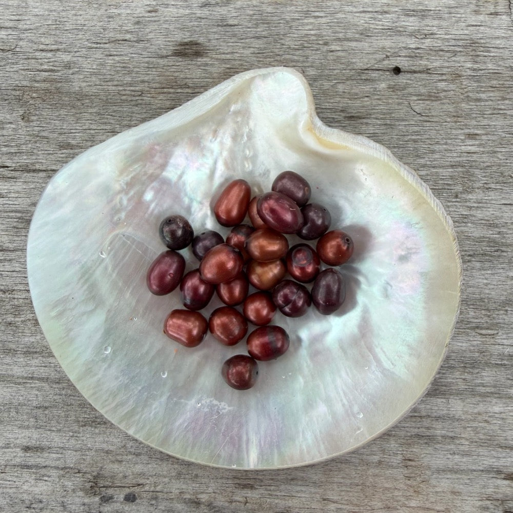 Freshwater Pearls - Cabernet